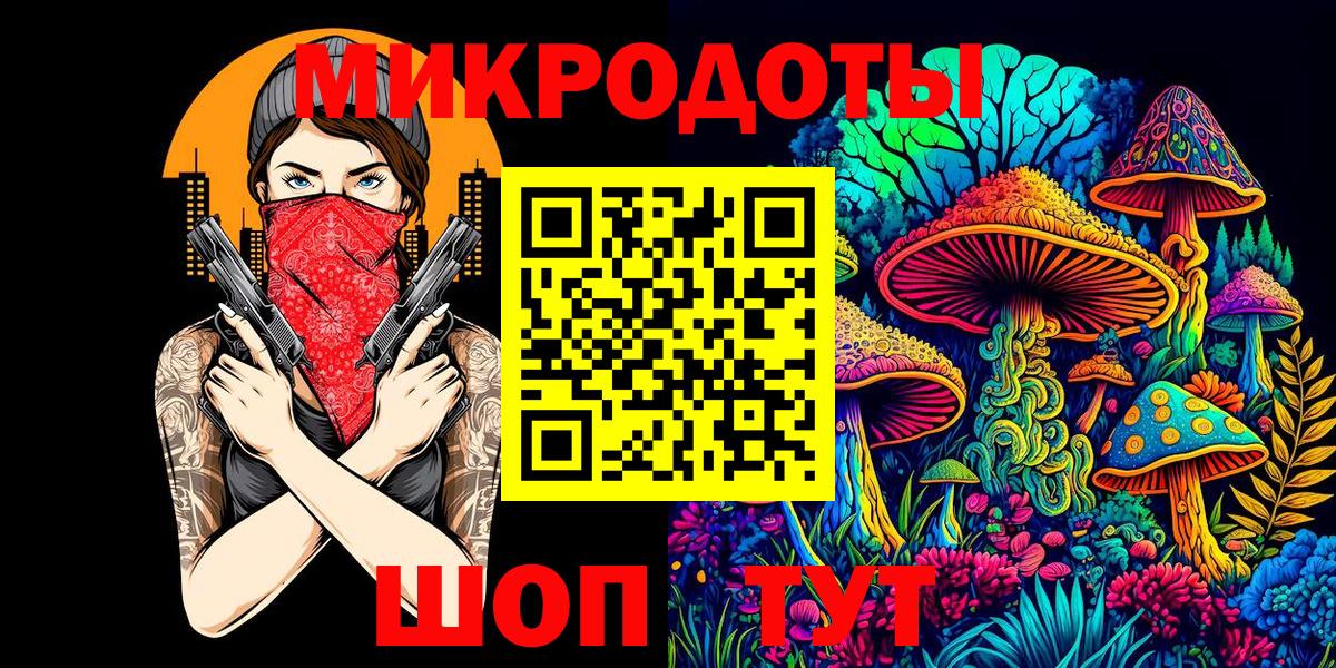 Псилоцибиновые грибы Psilocybe Губкин